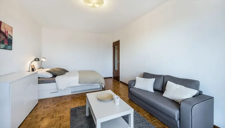 Cozy studio apartment in Charmilles, Geneva Interior 1