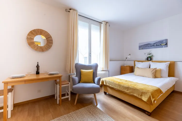 Studio apartment in the heart of Geneva Interior 1