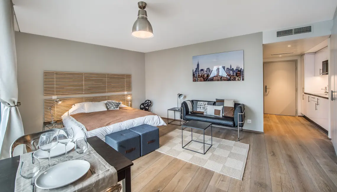 Beautiful studio apartment in Plainpalais, Geneva 073000