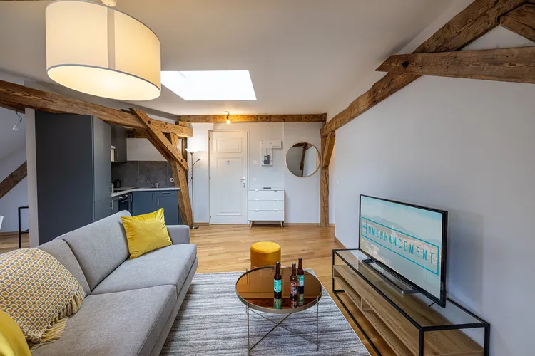 Appartement moderne d'1 chambre à Nations, Genève Interior 2