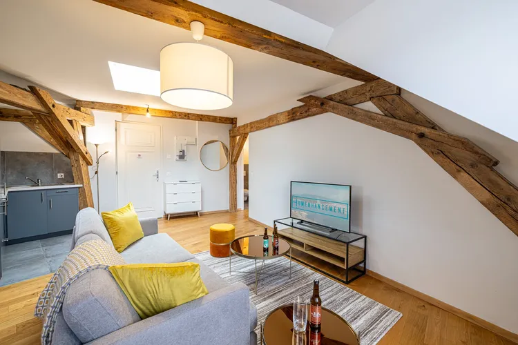 Appartement moderne d'1 chambre à Nations, Genève Interior 3