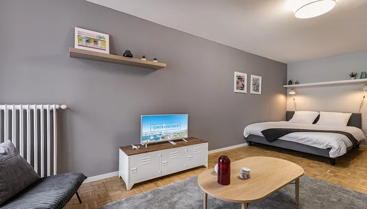Fully furnished studio apartment in Nations, Geneva Interior 3