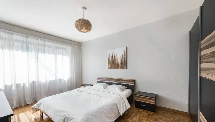 Fantastic  1-bedroom apartment in Champel, Geneva Interior 4