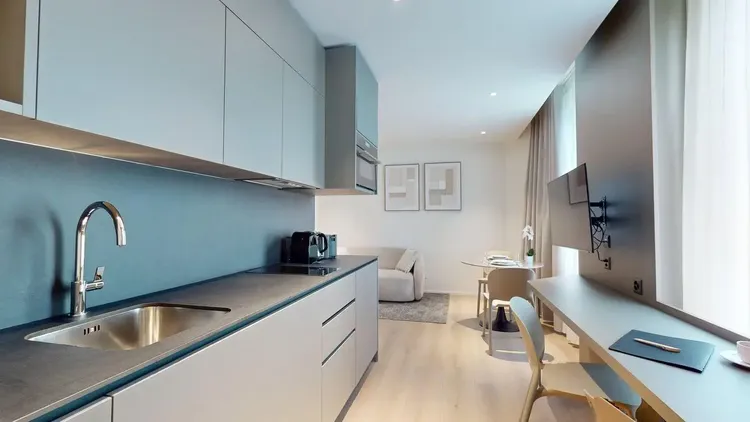 Stylish 37m² One-Bedroom Apartment Interior 2