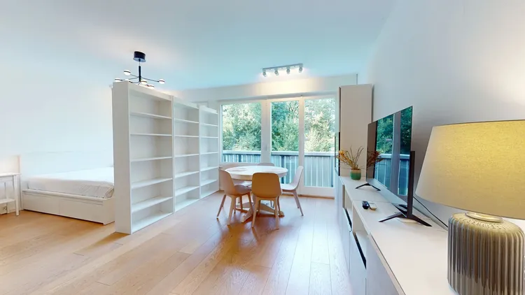 Studio lumineux et moderne à Champel, Genève Interior 2