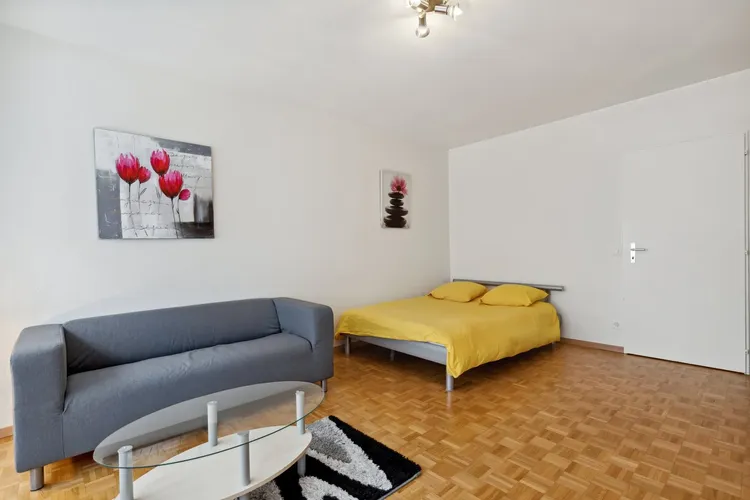 Bright studio apartment in Champel, Geneva Interior 2
