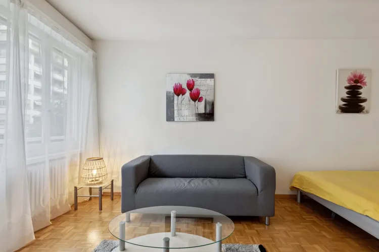 Bright studio apartment in Champel, Geneva Interior 3