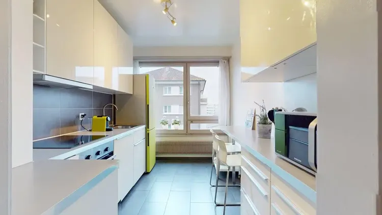 Appartement d'une pièce bien agencé aux Charmilles, Genève Interior 1