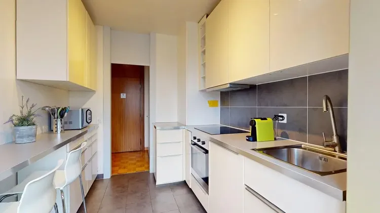 Appartement d'une pièce bien agencé aux Charmilles, Genève Interior 2