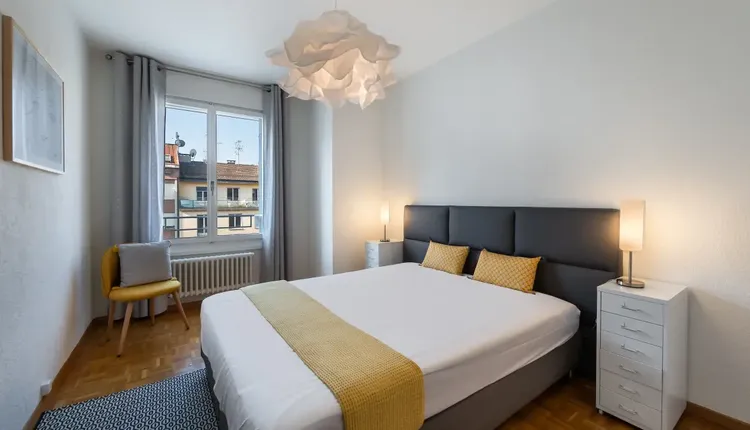 Lumineux appartement 2 pièces à Plainpalais, Genève Interior 4
