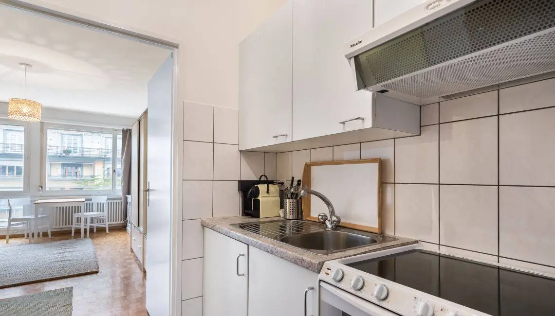 Nice furnished studio apartment along the lake in Champel, Geneva 350000