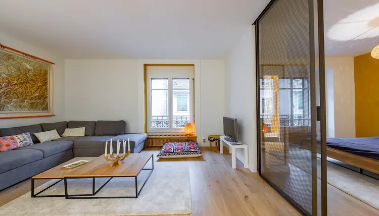 Artist studio apartment in Plainpalais, Geneva Interior 3