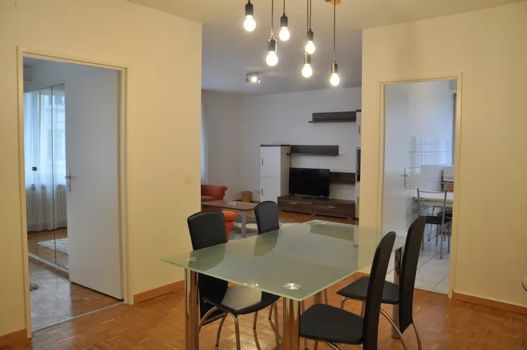 Charming 1 bedroom apartment in Champel, Geneva Interior 1