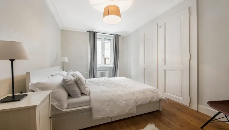 Fantastic 1 bedroom apartment in Eaux-Vives, Geneva Interior 4