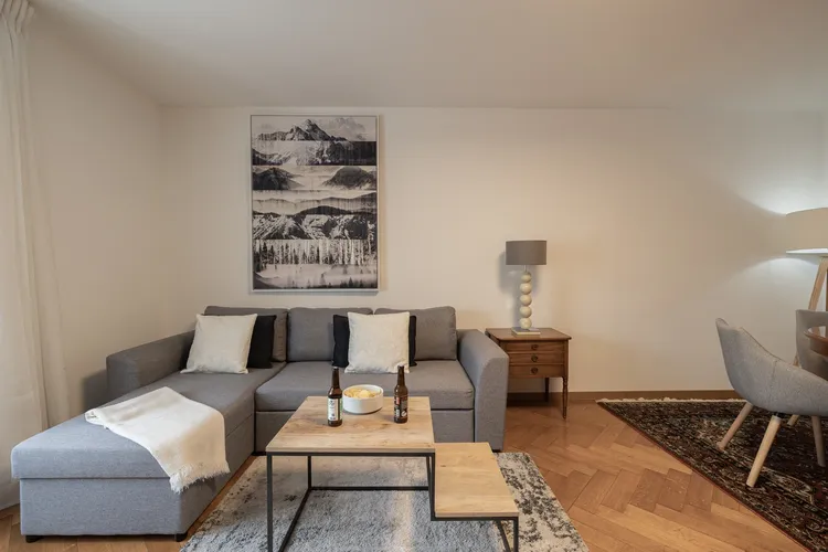 Fantastic 1 bedroom apartment in Pâquis, Geneva Interior 1