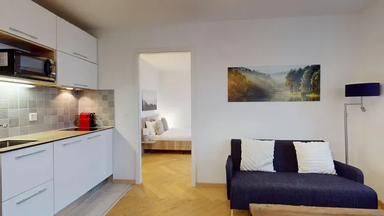 One bedroom, Albisriederplatz, Zurich Interior 1