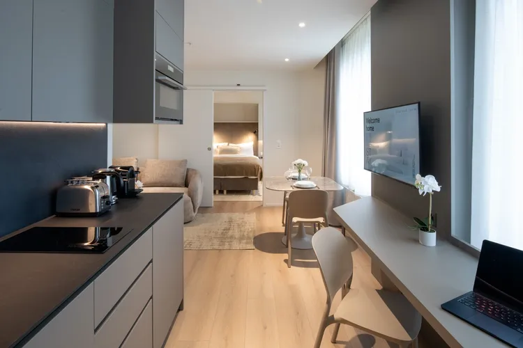 Stylish 37m² One-Bedroom Apartment Interior 1