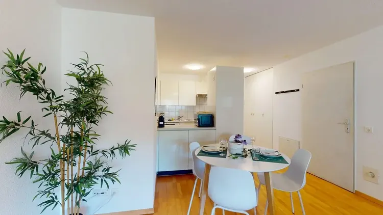 Modern Studio with Balcony in Zurich Kreis 5 – Neugasse 83 Interior 2