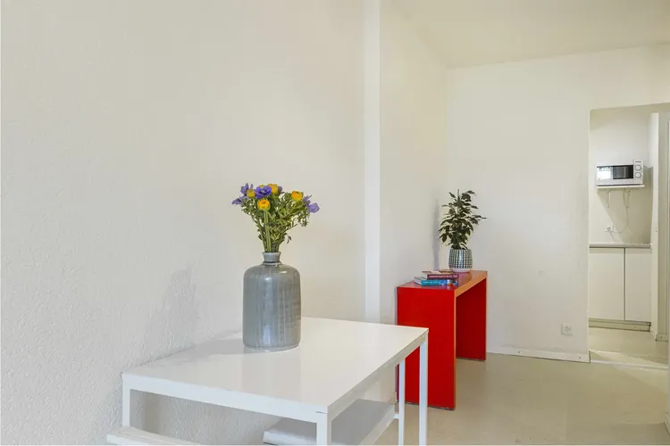 Furnished studio near Lausanne train station with Wi-Fi Interior 3