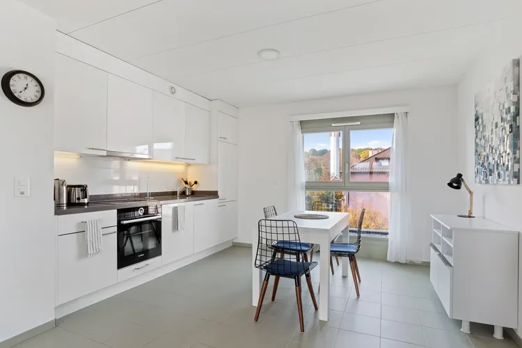 Parfait appartement écologique d'une chambre à coucher à Sallaz, Lausanne Interior 3