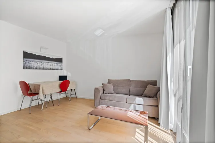 Elegant studio apartment in Sallaz, Lausanne Interior 1