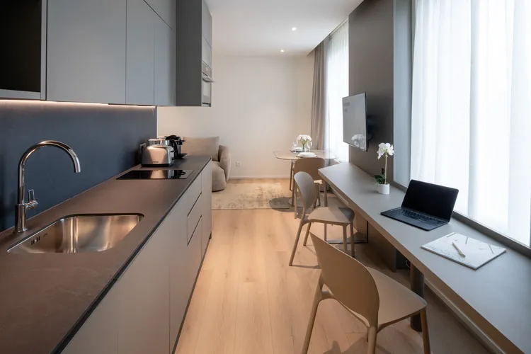 Stylish 37m² One-Bedroom Apartment Interior 1