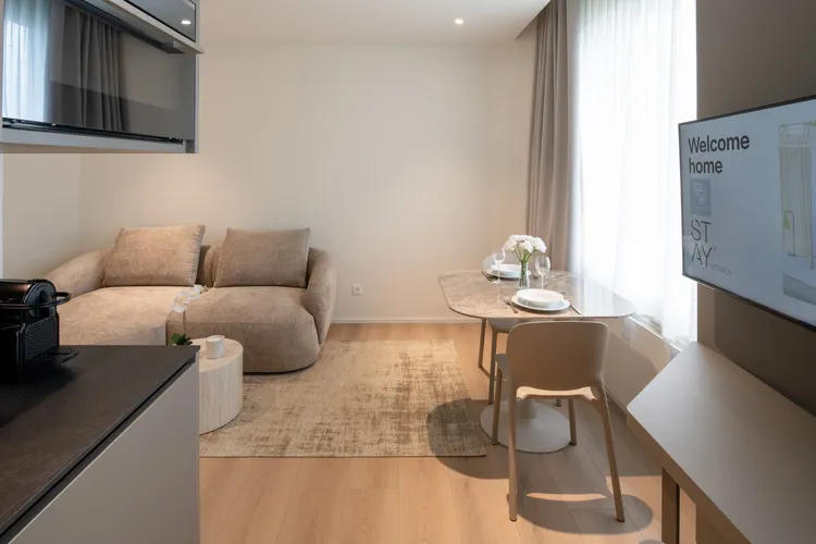 Stylish 37m² One-Bedroom Apartment Interior 2