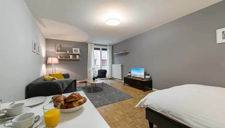 Comfortable 1-room apartment in Nations, Geneva