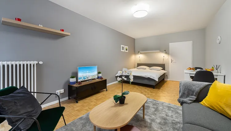 Comfortable 1-room apartment in Nations, Geneva Interior 2
