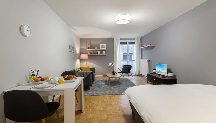 Comfortable 1-room apartment in Nations, Geneva Interior 2