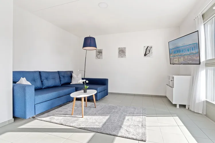 Superbe appartement d'1 chambre à coucher à Sallaz, Lausanne Interior 1
