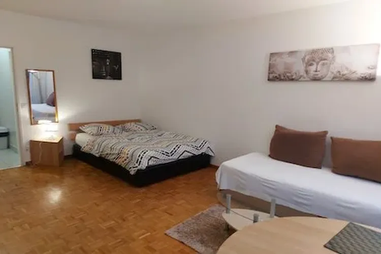 Brigth city center studio apartment in Champel, Geneva