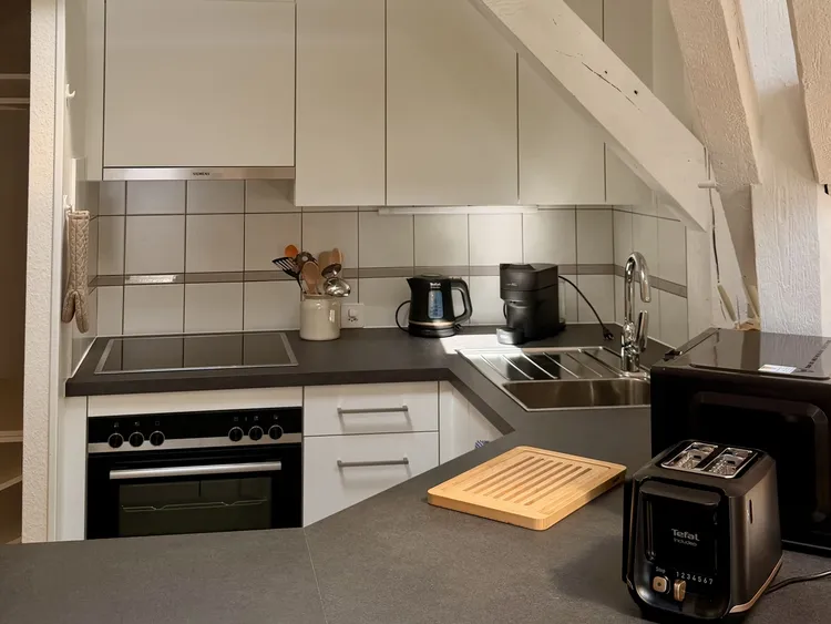 Beautiful one bedroom located under the roofs of Avenue Soret in Geneva Interior 3