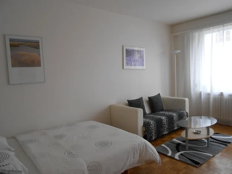 Wonderful studio apartment in Champel, Geneva Interior 3