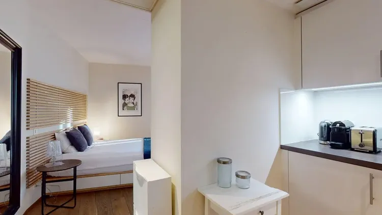 Elegant studio apartment in Plainpalais, Geneva Interior 1