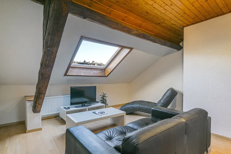 Nice Attic 1-Bedroom Apartment with Exposed Beams near Lausanne Train Station Interior 1