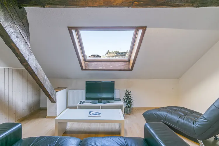 Nice Attic 1-Bedroom Apartment with Exposed Beams near Lausanne Train Station Interior 2