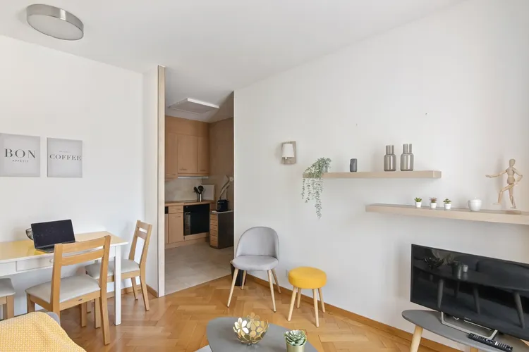 Charming 1-room apartment in Pâquis, Geneva Interior 1