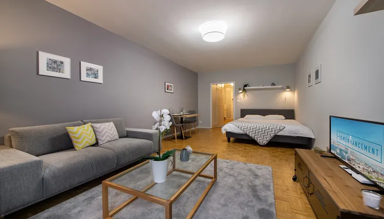 Beautiful studio apartment in Nations, Geneva Interior 2