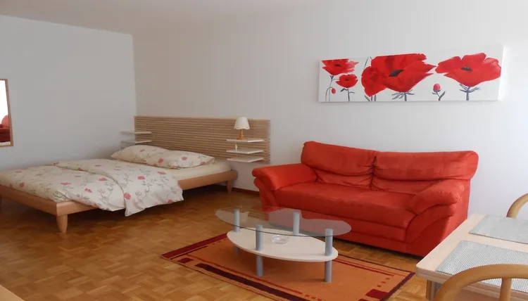 Fantastic near sea studio apartment in Champel, Geneva