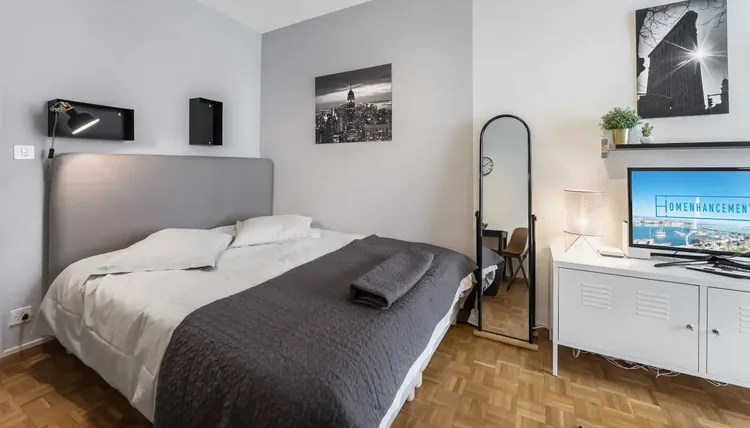 Gorgeous studio apartment low-budget in Nations, Geneva Interior 2