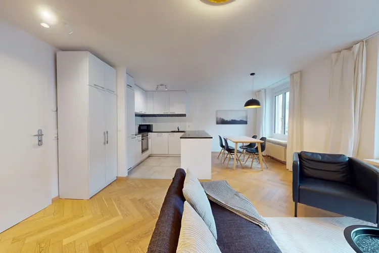 One bedroom, Albisriederplatz, Zurich Interior 3