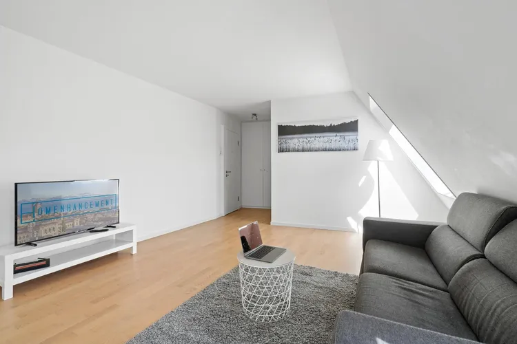 Stylish eco-friendly 1 bedroom apartment in Sallaz, Lausanne Interior 1