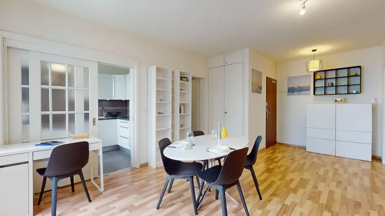 Studio lumineux avec coin nuit, bureau et cuisine équipée à Genève Interior 3