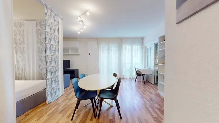 Studio lumineux avec coin nuit, bureau et cuisine équipée à Genève Interior 3