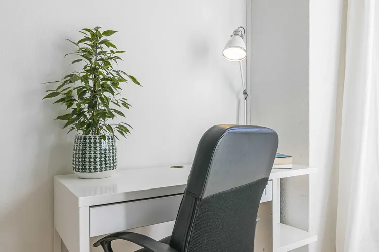 Studio, Grancy, Lausanne Interior 4