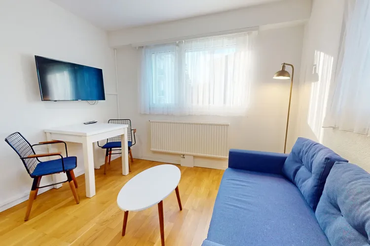Very nice studio apartment in Sallaz, Lausanne Interior 1