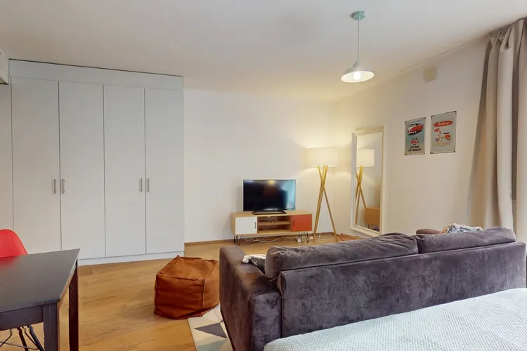 Charming studio apartment in Plainpalais, Geneva Interior 1