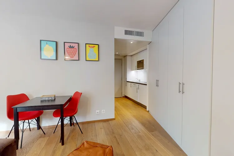 Charming studio apartment in Plainpalais, Geneva Interior 2