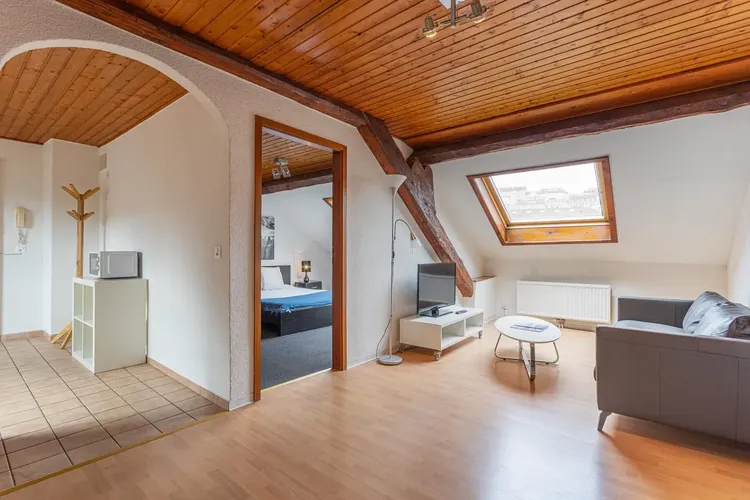 Nice Attic 1-Bedroom Apartment with Exposed Beams near Lausanne Train Station Interior 1